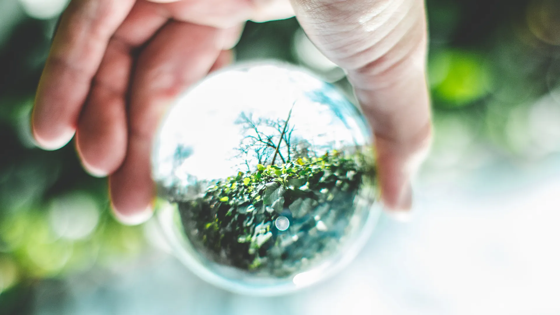 我们以联合国可持续发展目标 SDGS为努力方向